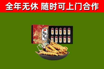 玉溪回收冬虫夏草价格